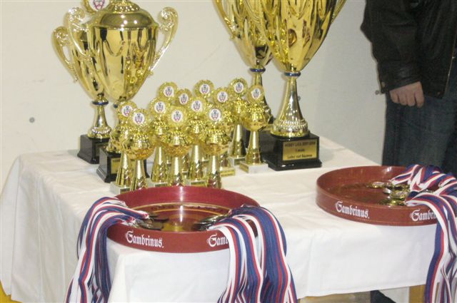 Medaile a poháry 2008
